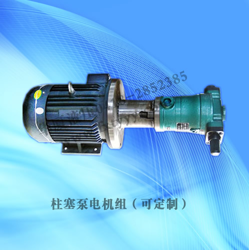 柱塞泵電機(jī)組