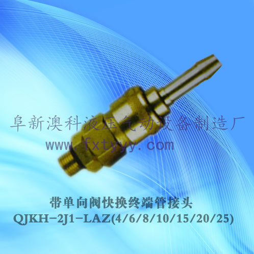 帶單向閥快換終端管接頭