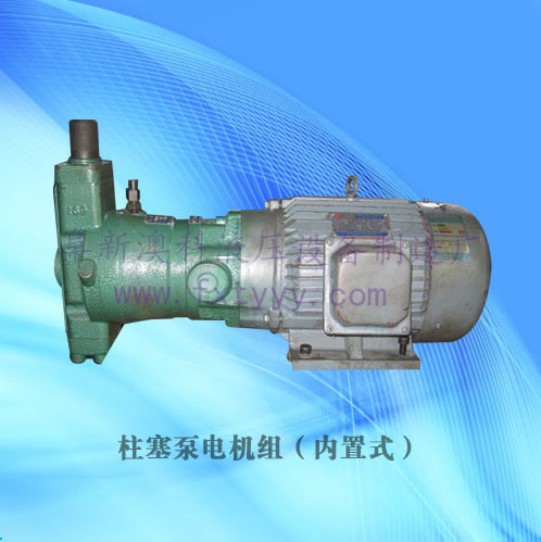 柱塞泵電機組（內(nèi)置式）